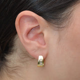 Lex Earrings in Gold