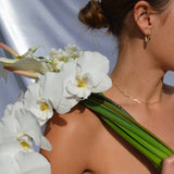 Macey Choker Necklace